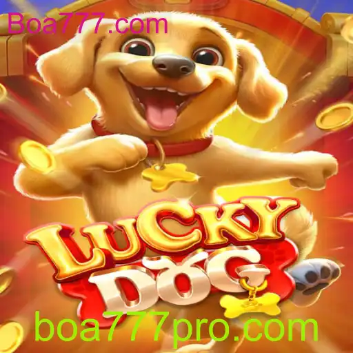 Descubra o Empolgante Jogo LuckyDog: Aventura e Regras com Boa777.com