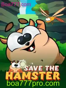 SavetheHamster: O Fascinante Mundo do Resgate de Hamsters